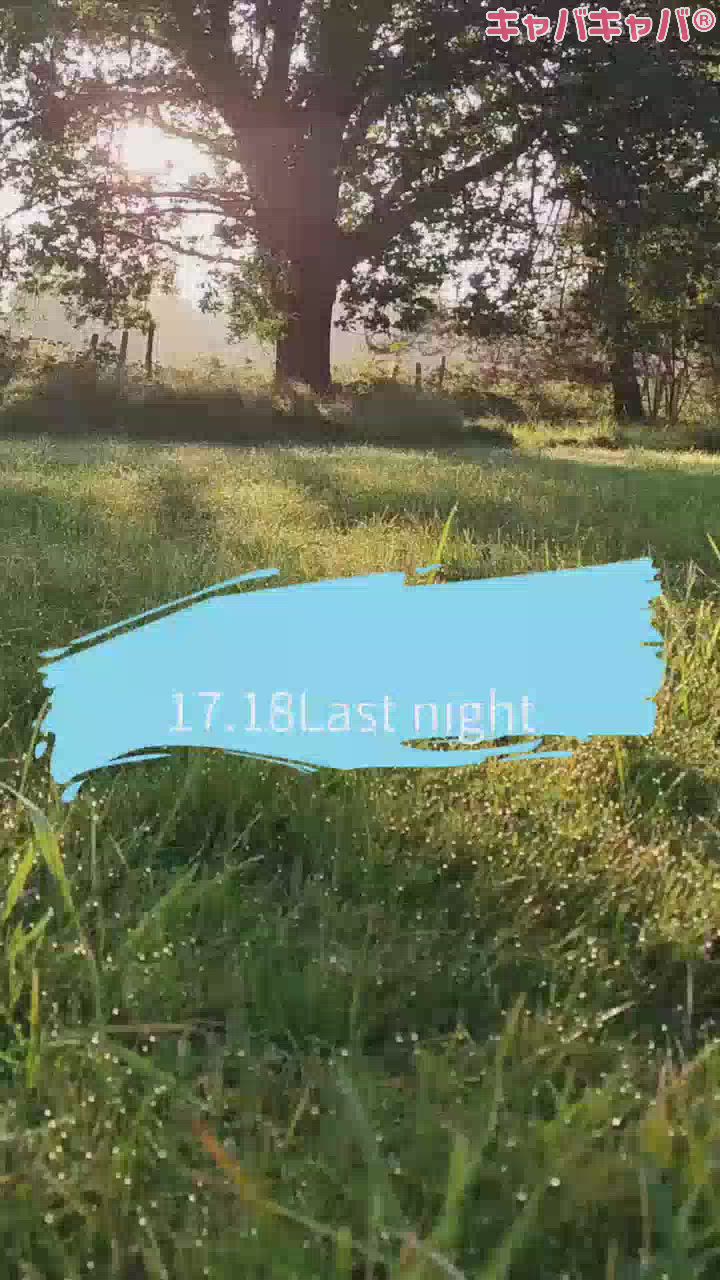 マスカッツ日記1198469