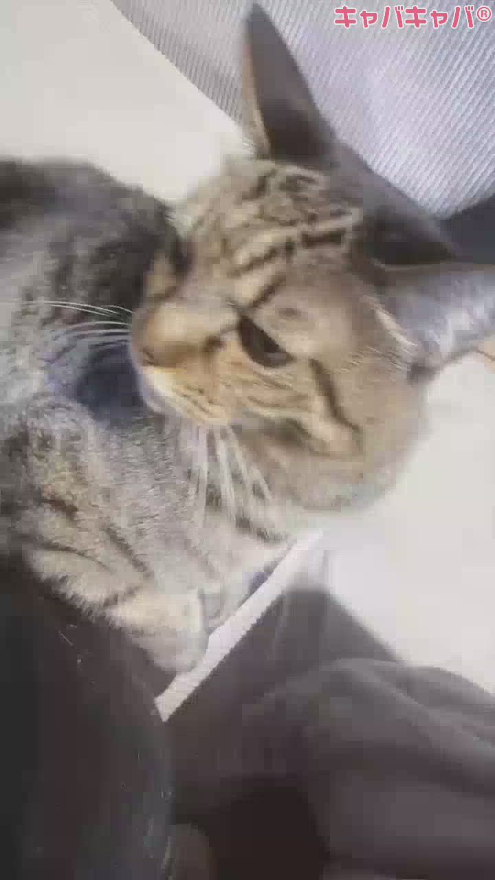 K-LOUNGE日記1604456