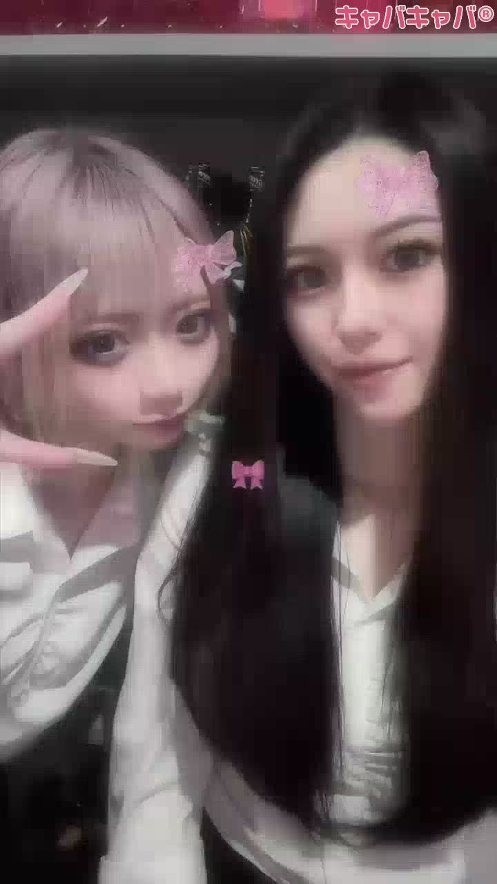 春がやってきた❕