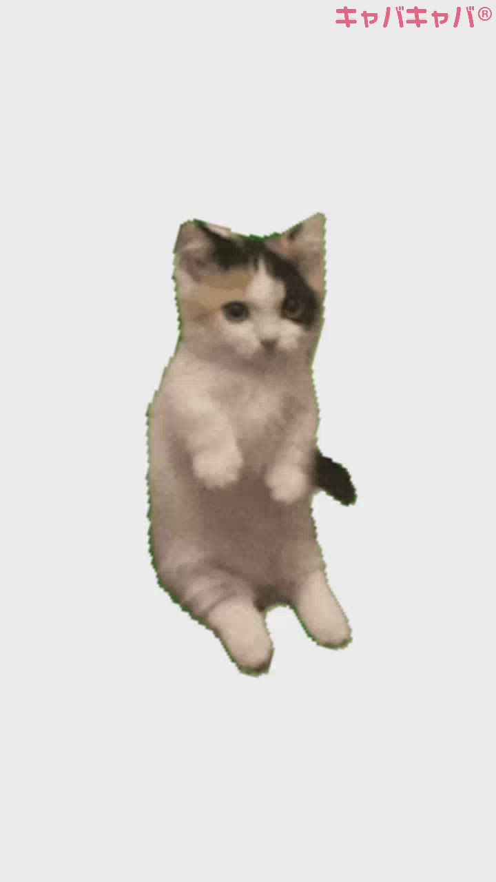 ぱにゃにゃんだー！