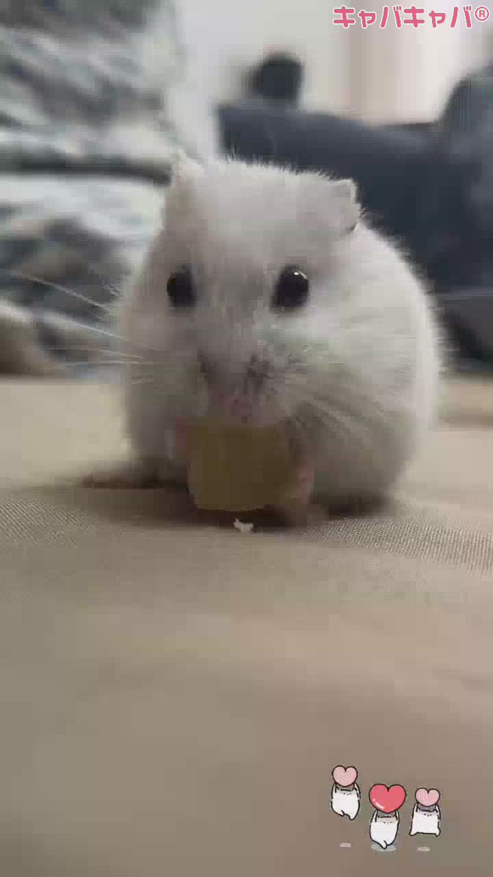 夜までゆっくり☺️