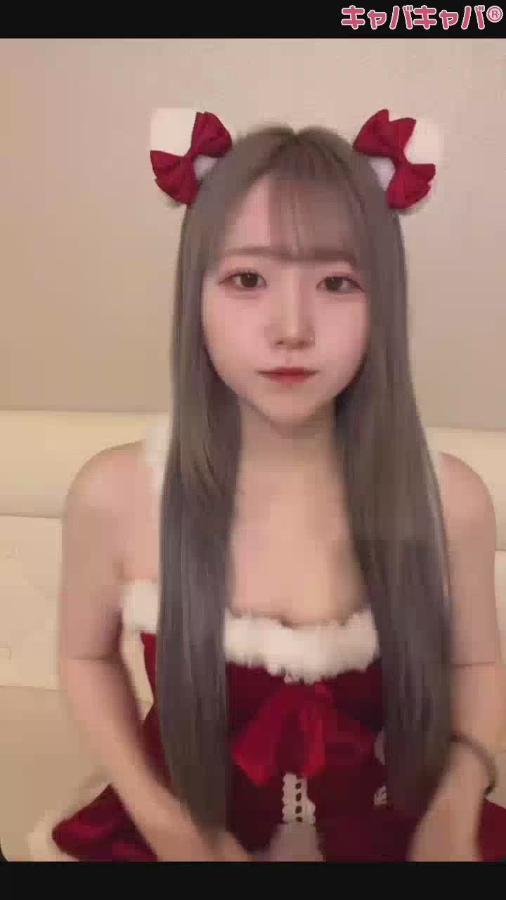 コンセプトカフェ あにまる宮殿日記1559490