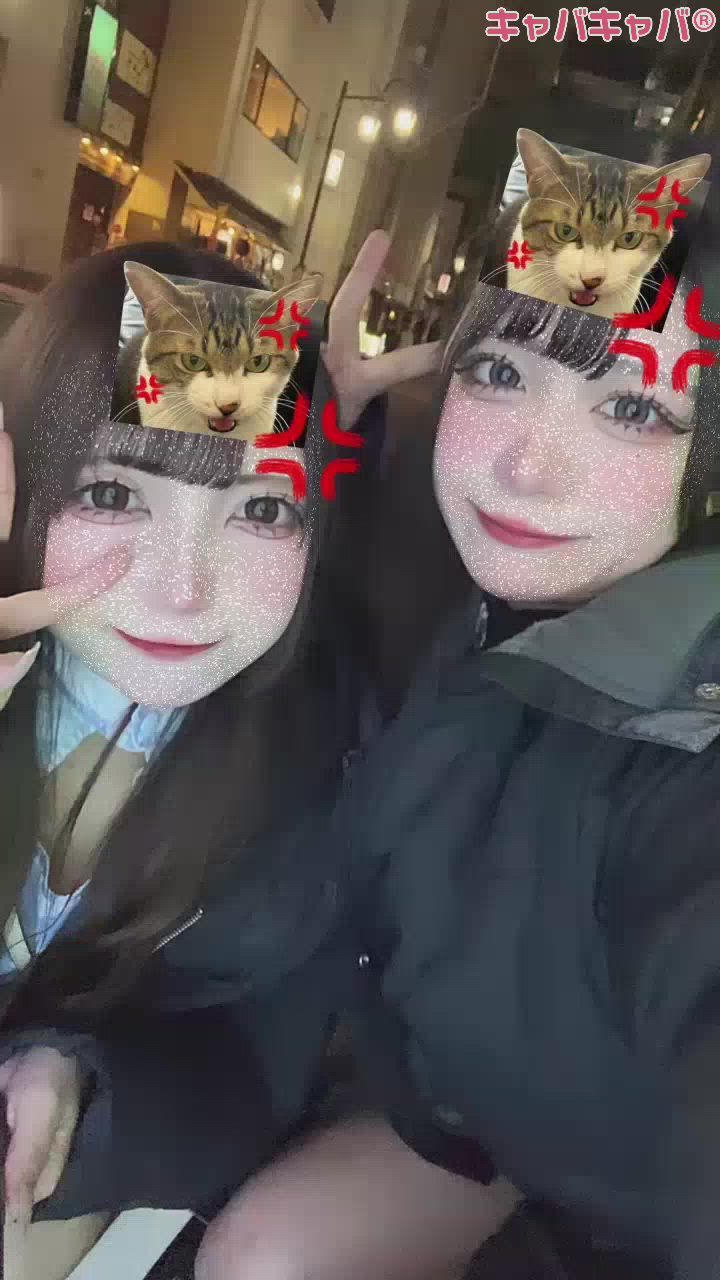 ツインテール同盟破局^_^