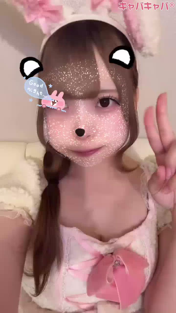 コンセプトカフェ あにまる宮殿日記1512180