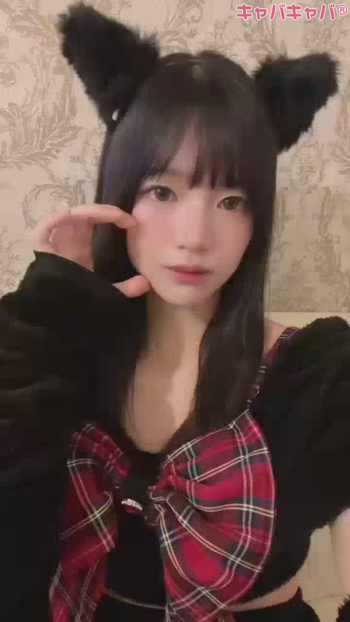 コンセプトカフェ あにまる宮殿日記1756809