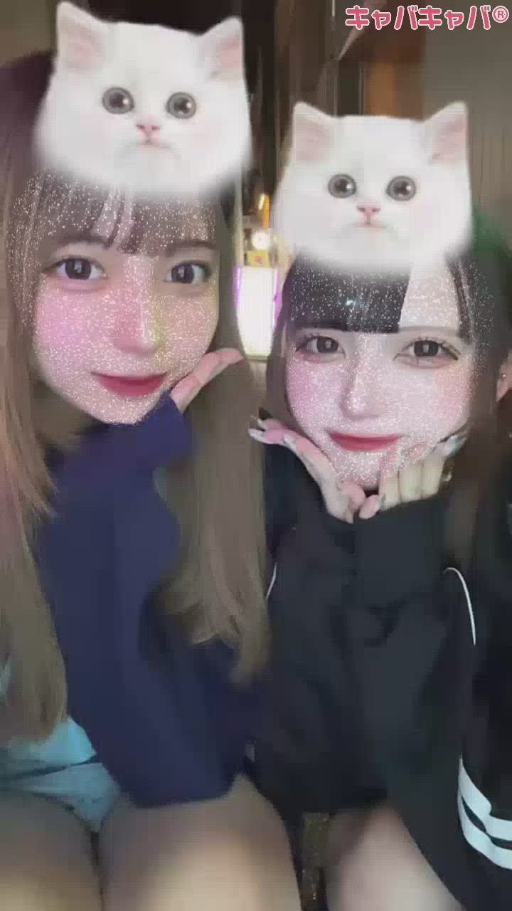 9月6日 21時14分のブログ