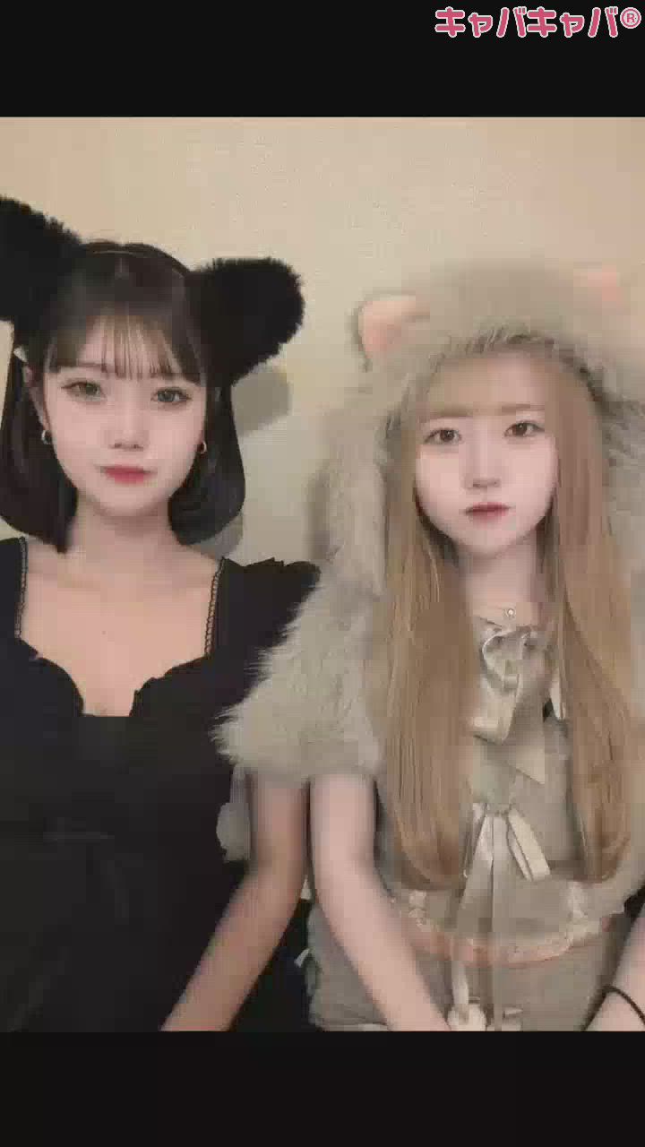 コンセプトカフェ あにまる宮殿日記1588864