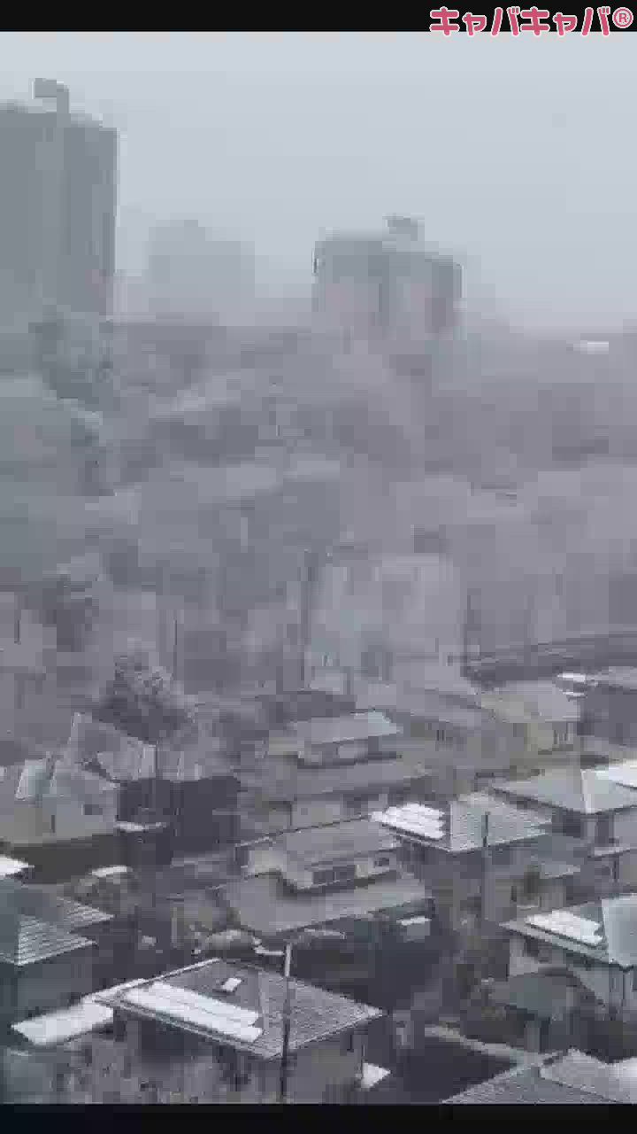 CLUB　Paladin日記1587823