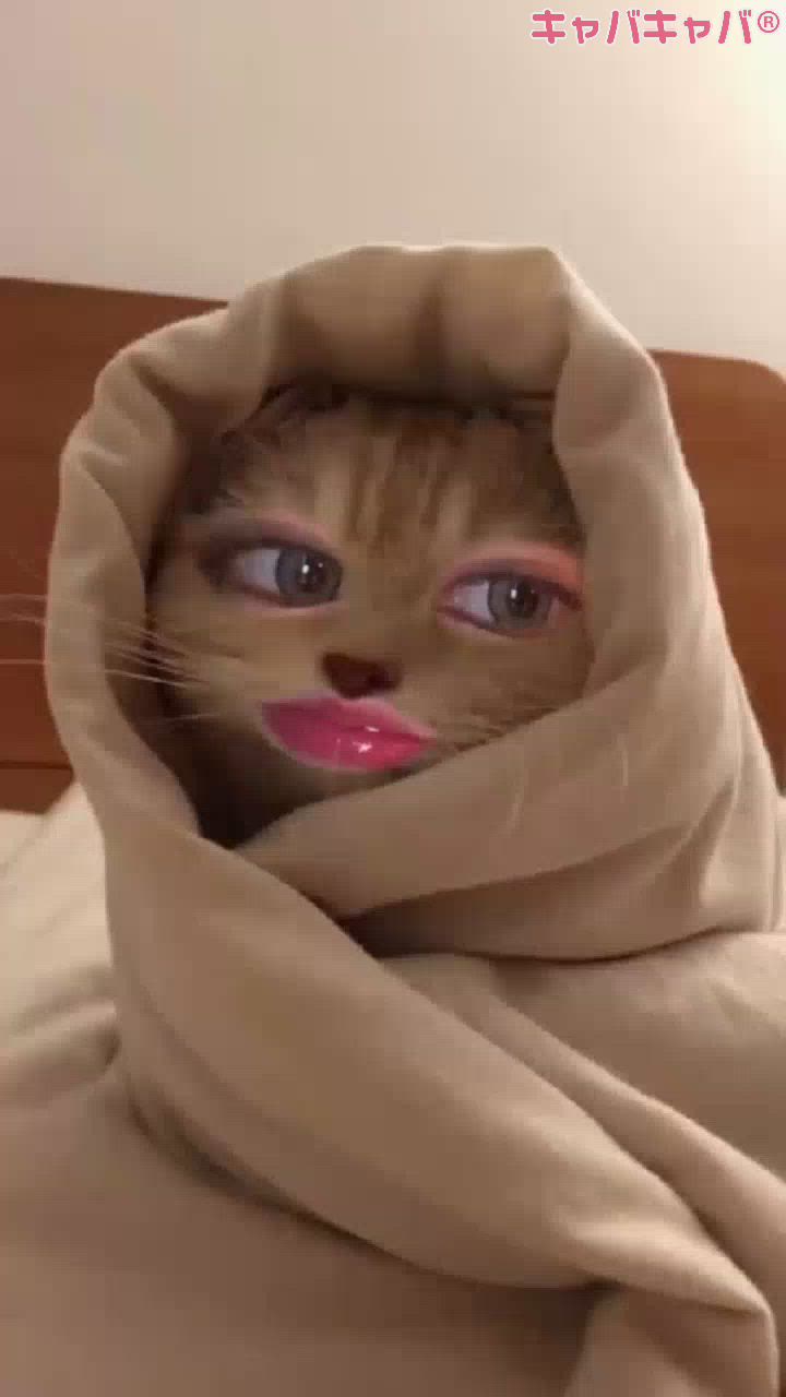 Club Ruby日記1569325