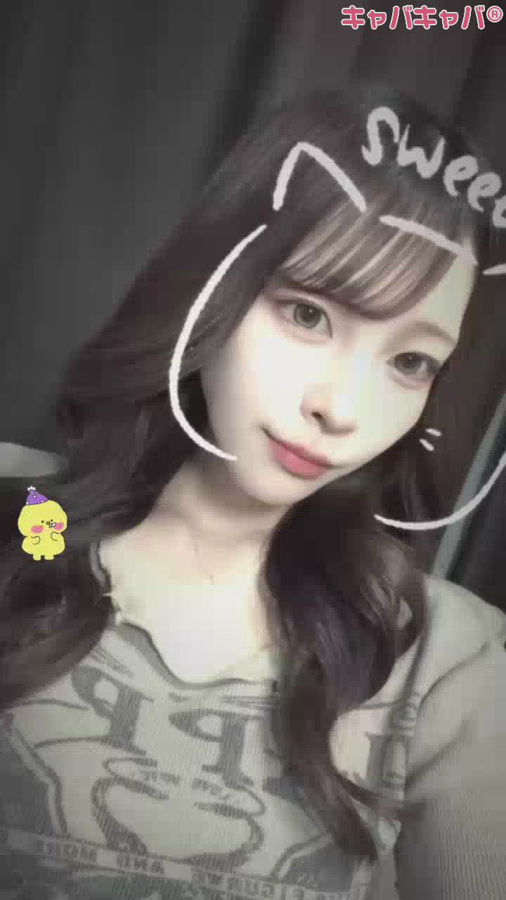 一条 葵