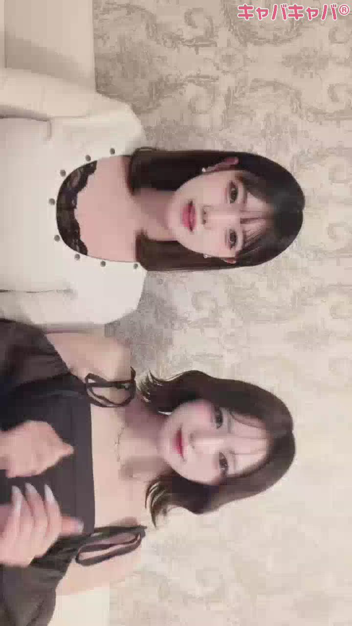 コンセプトカフェ あにまる宮殿日記1755912