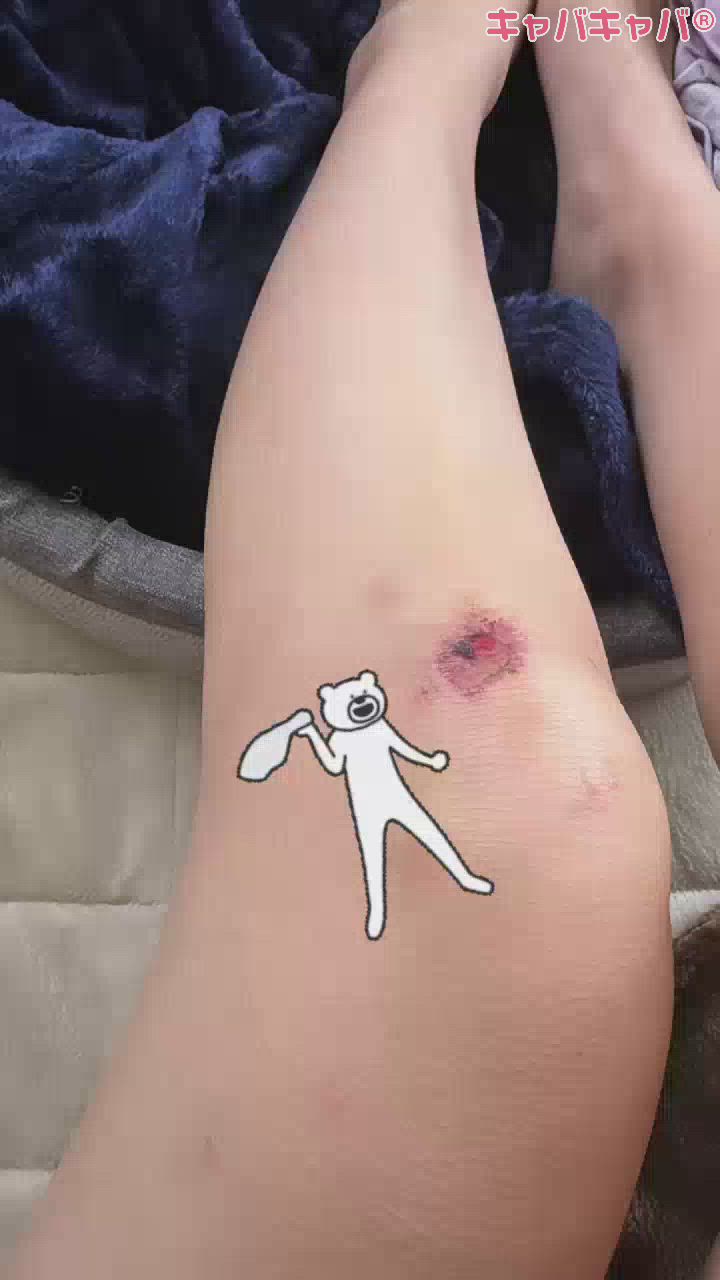 こちらが28歳メスの膝です。お納めください。