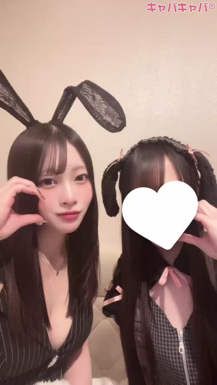 コンセプトカフェ あにまる宮殿日記1584715