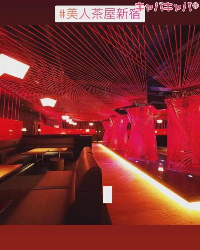 美人茶屋 ホットニュース 1416