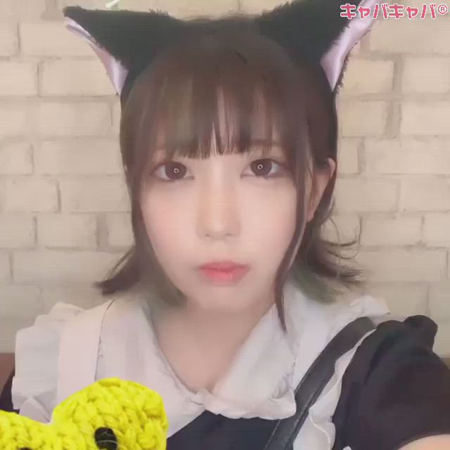 cafe&bar Mermaid ホットニュース 6667