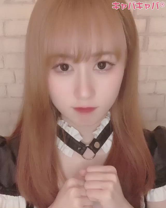 cafe&bar Mermaid ホットニュース 6884