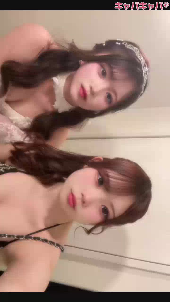 一条 葵