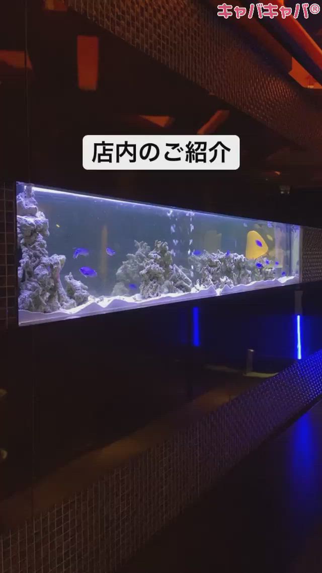 DIA RESORT ホットニュース 11923