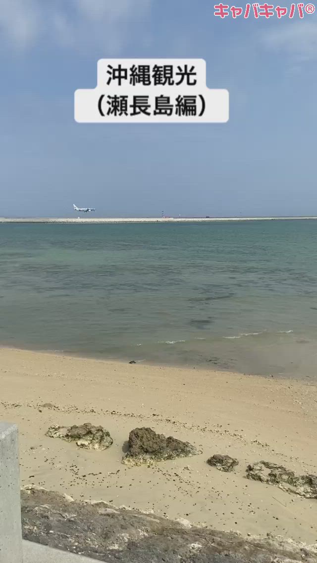 DIA RESORT ホットニュース 12263