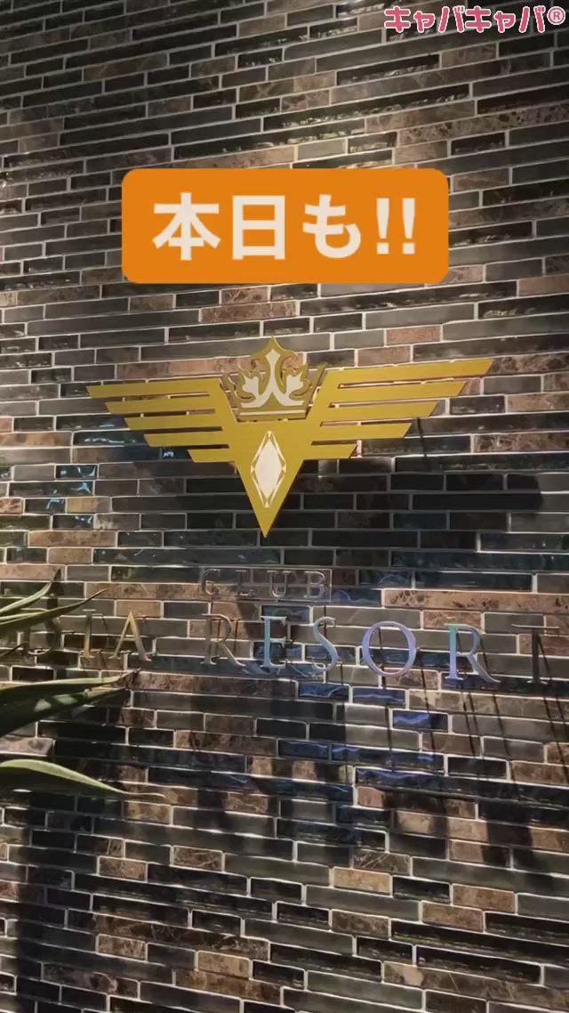 DIA RESORT ホットニュース 12496