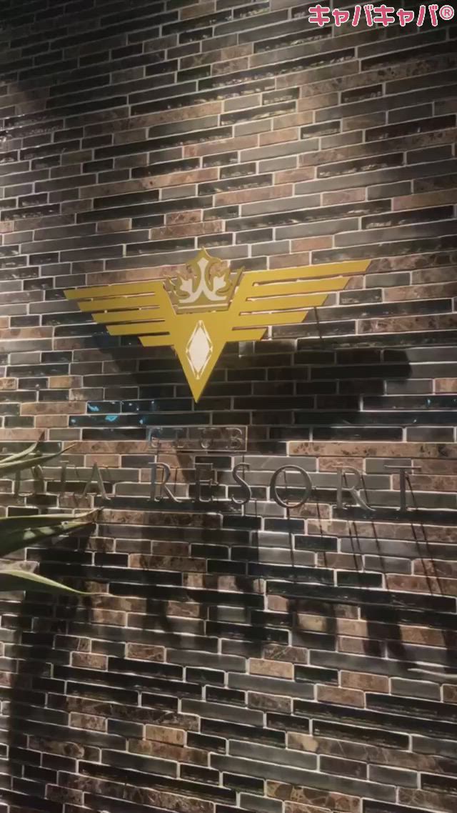 DIA RESORT ホットニュース 12546