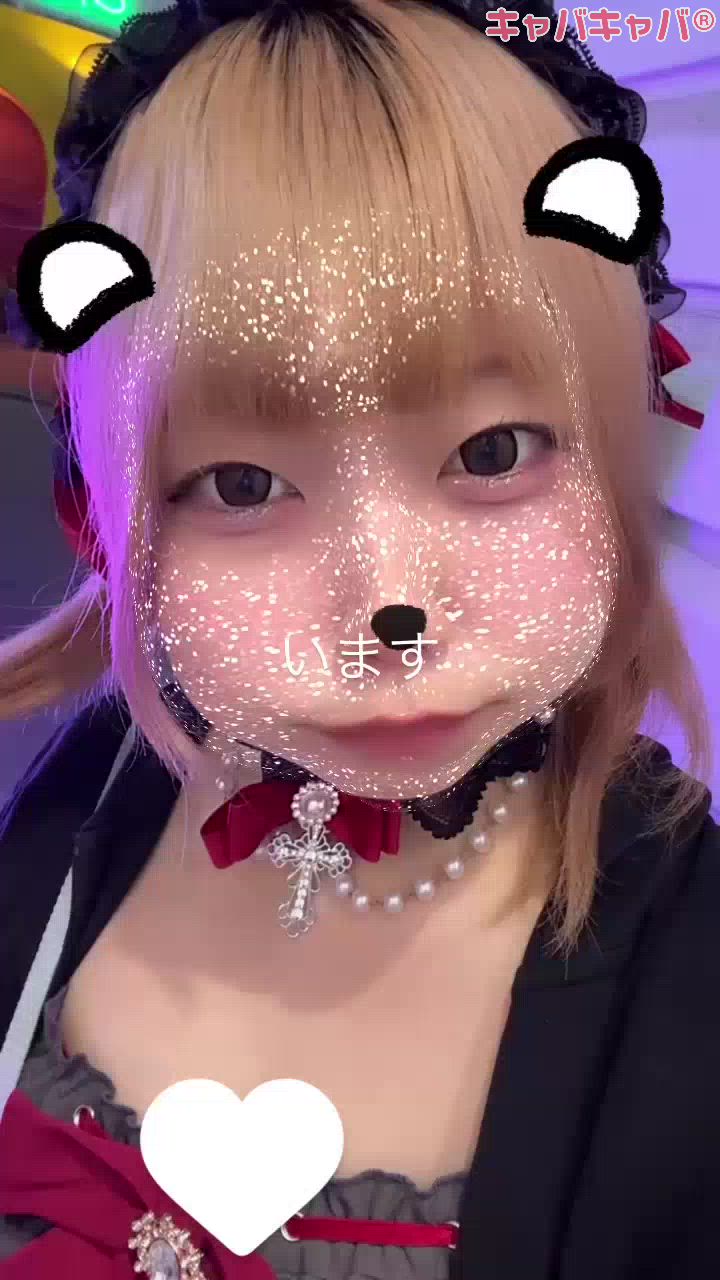 一条 葵