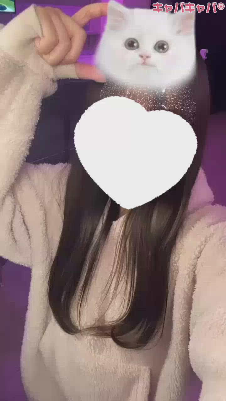 にゃんここにゃんこまごにゃんこ🐈🐾