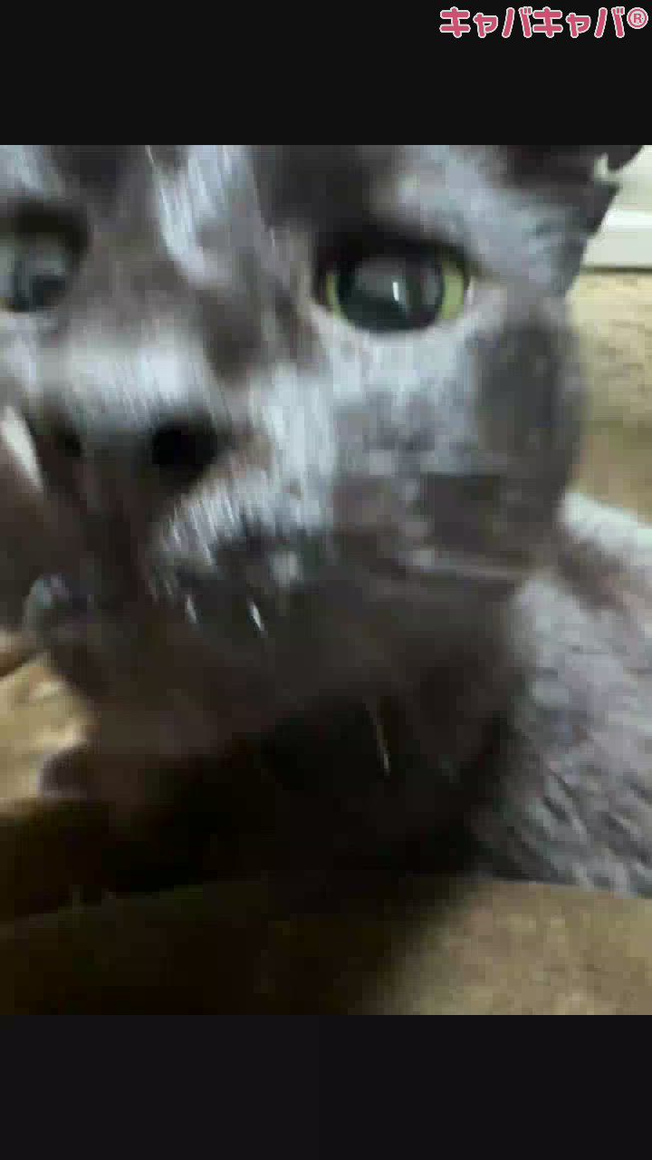 2連休ってマジでみんな大事だからちゃんと取った方がいいよ