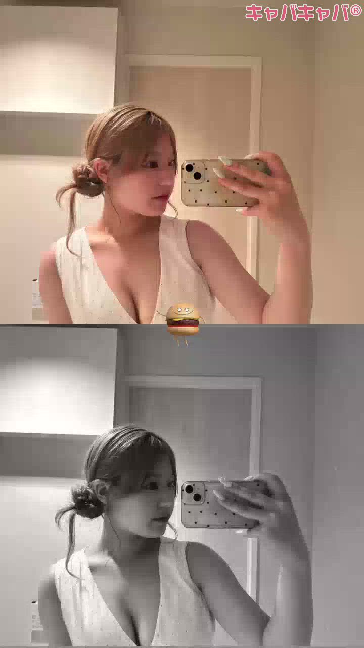 葵