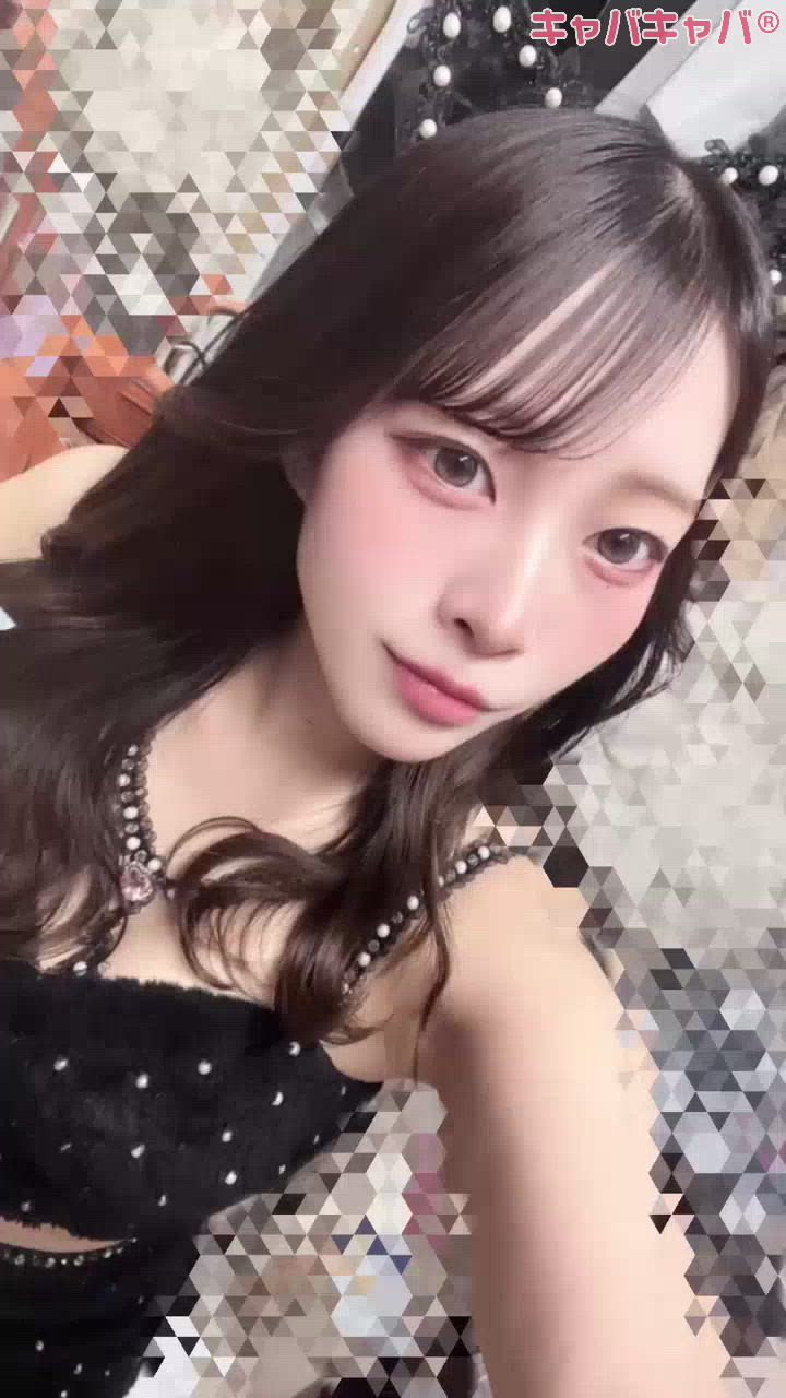 コンセプトカフェ あにまる宮殿日記1616391