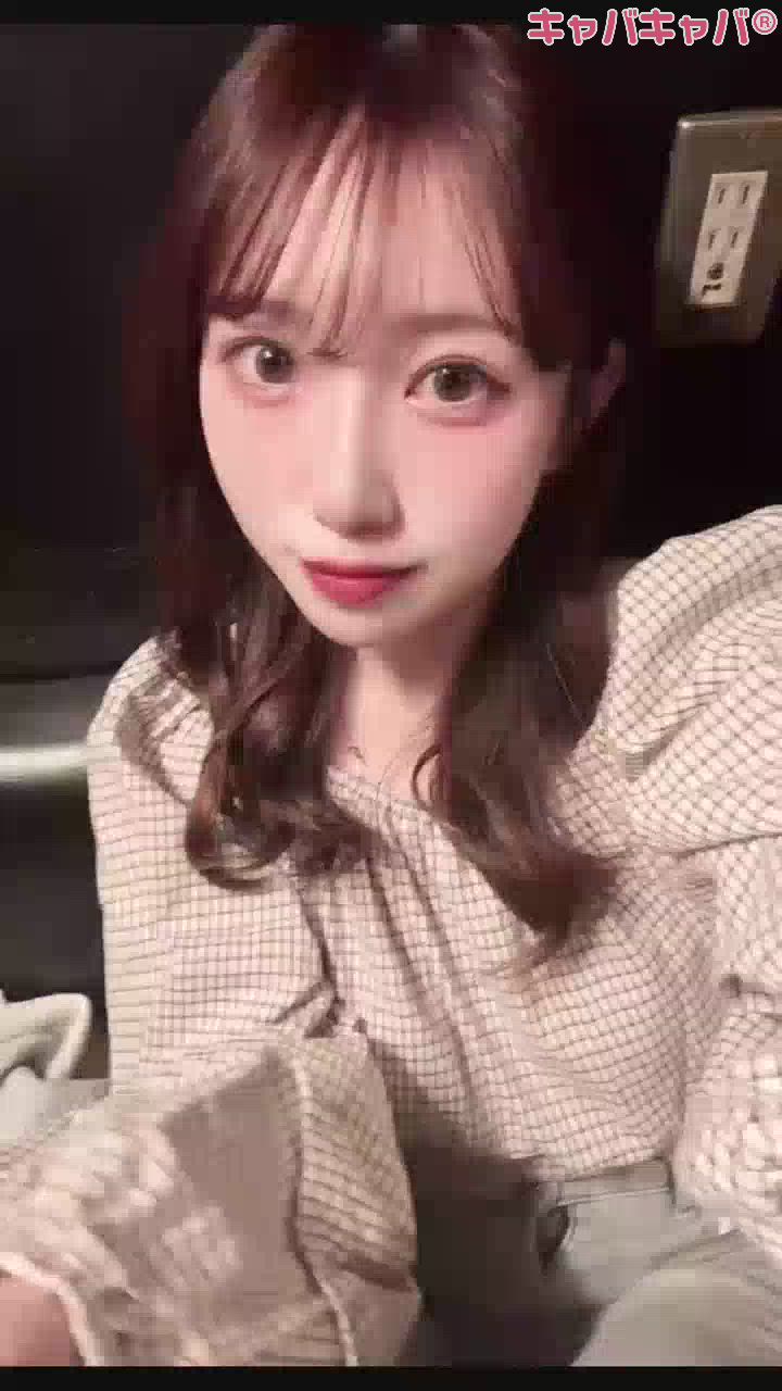 一条 葵
