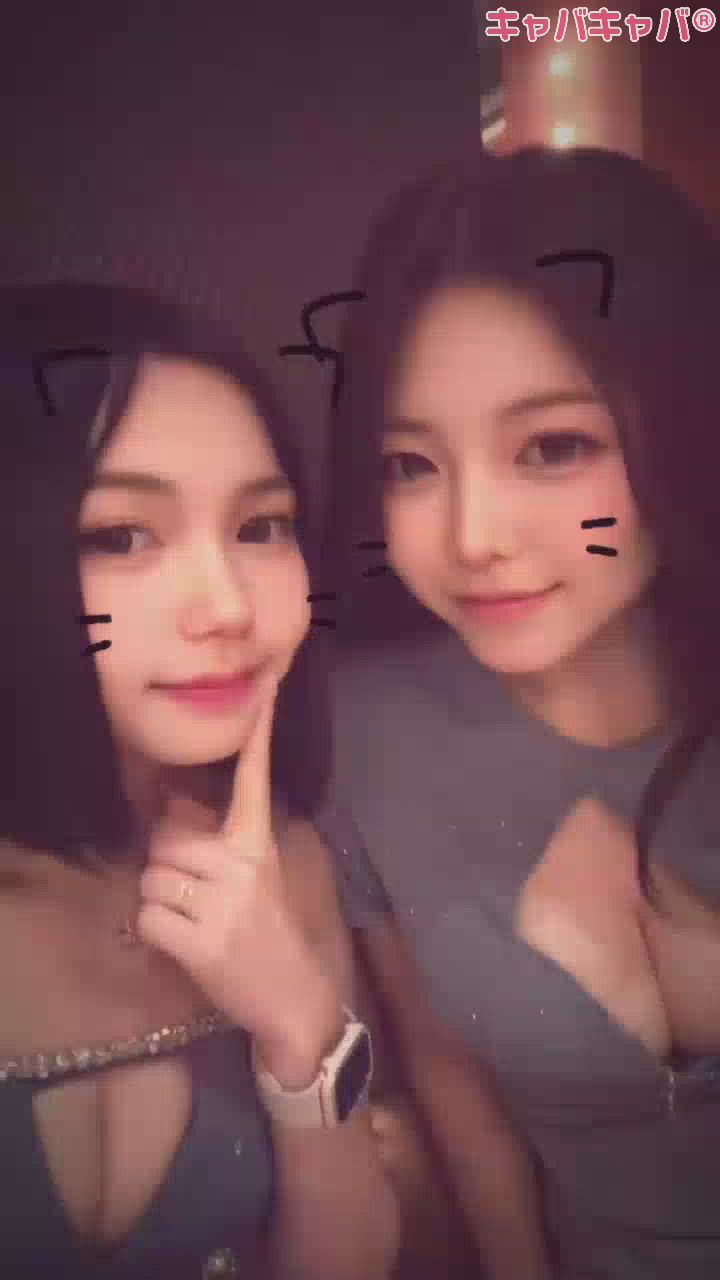 一条 葵