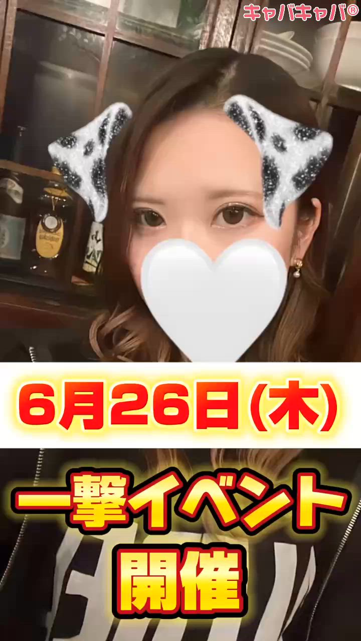 ALFE ホットニュース 177390