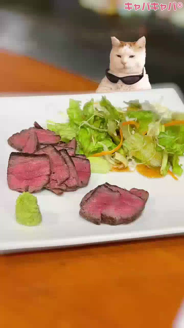 一条 葵
