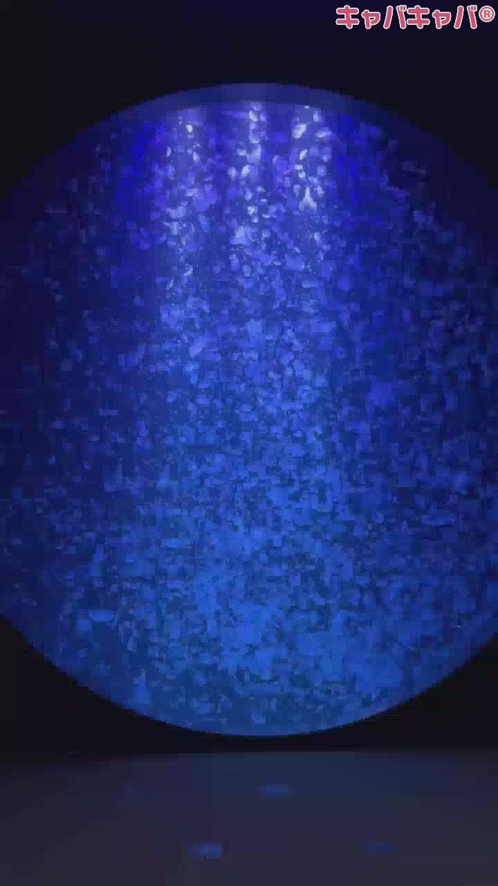 ぷかぷか～🪼🫧