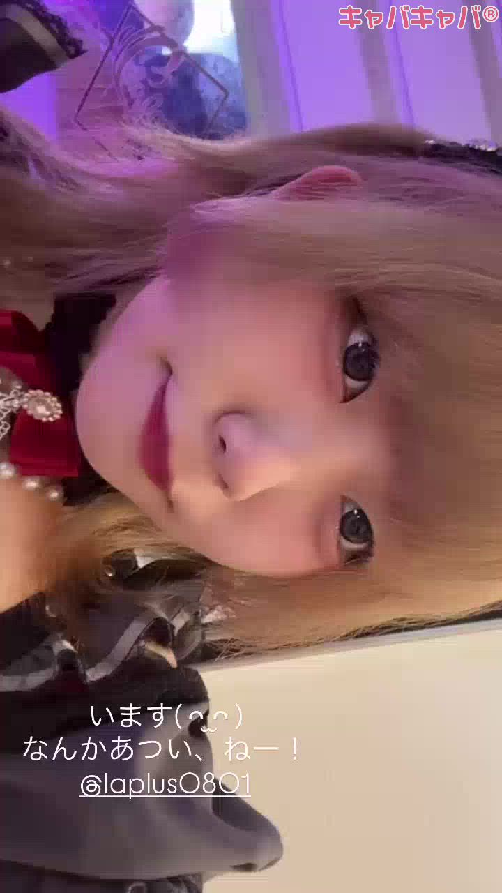 一条 葵