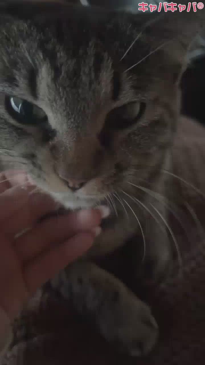 ☻（ 4月14日 ）