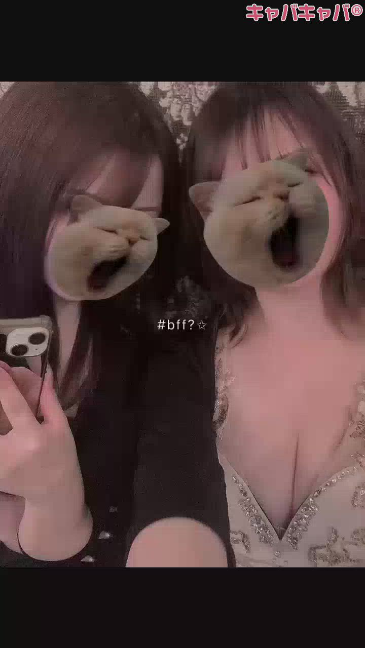 5月24日 16時30分のブログ