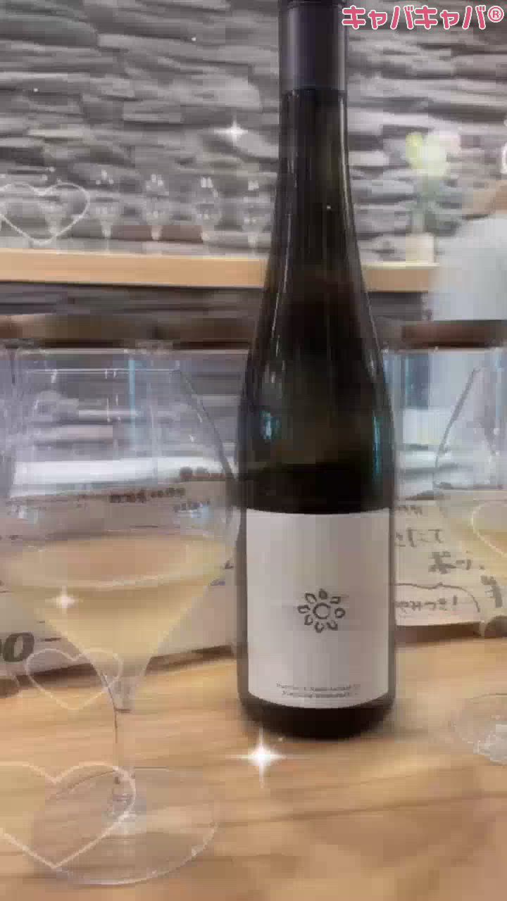 一条 葵