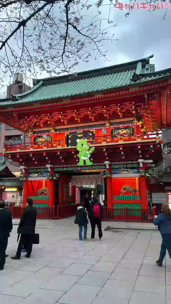 一条 葵