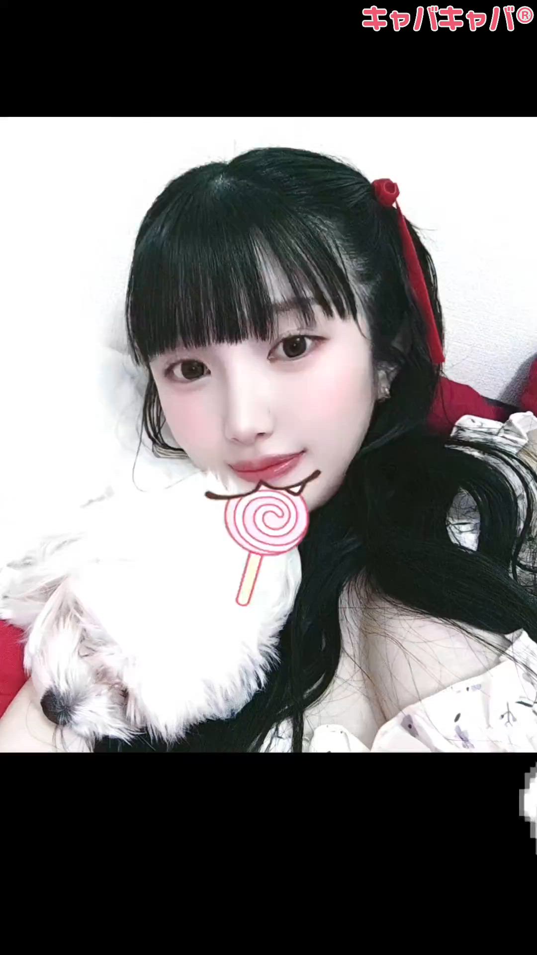 一条 葵