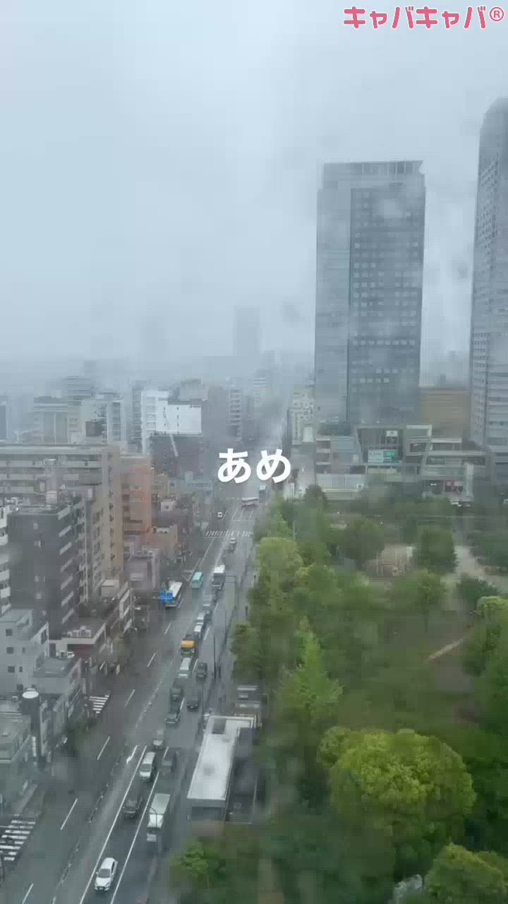 一条 葵