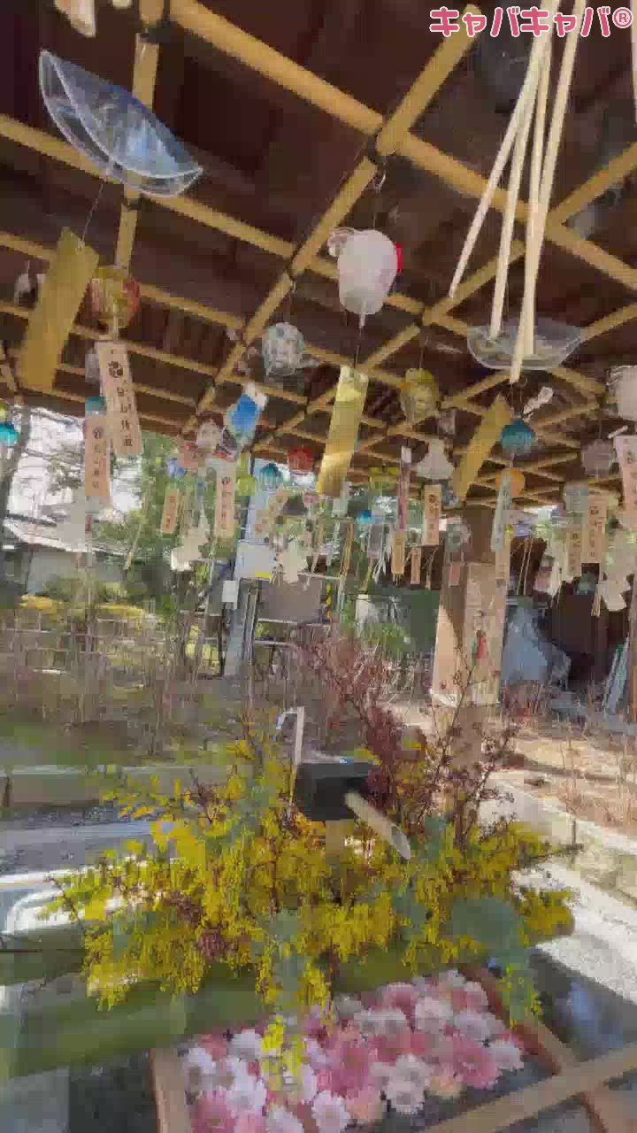 CLUB MIMOSA日記1628886