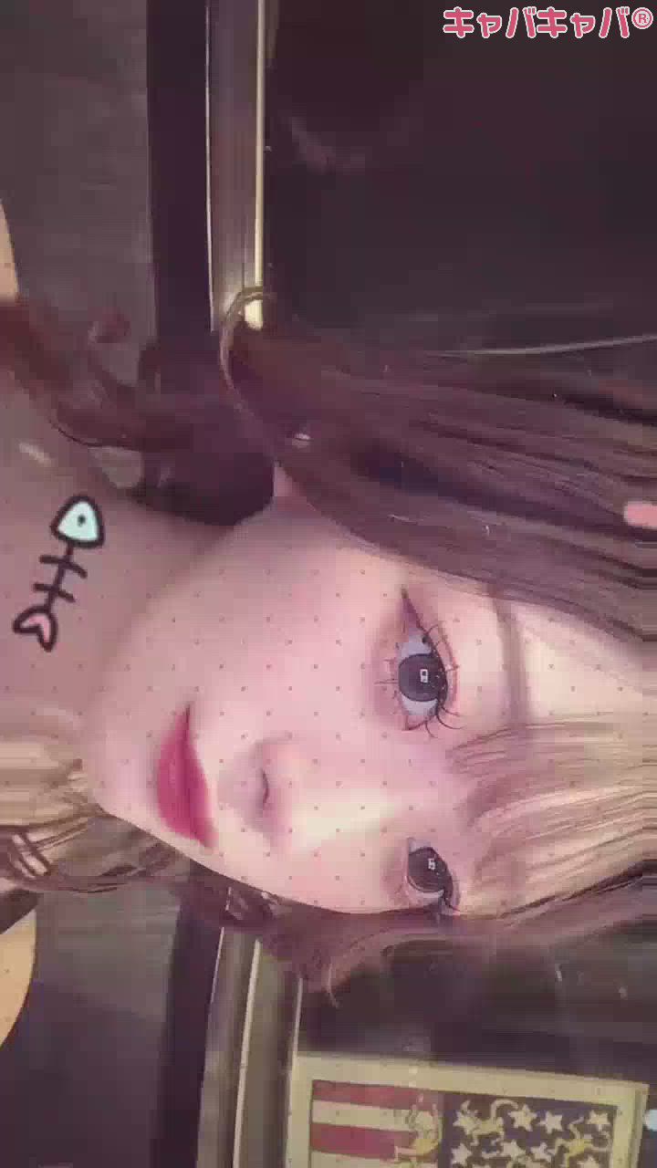 一条 葵