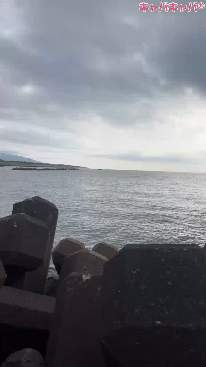 一条 葵