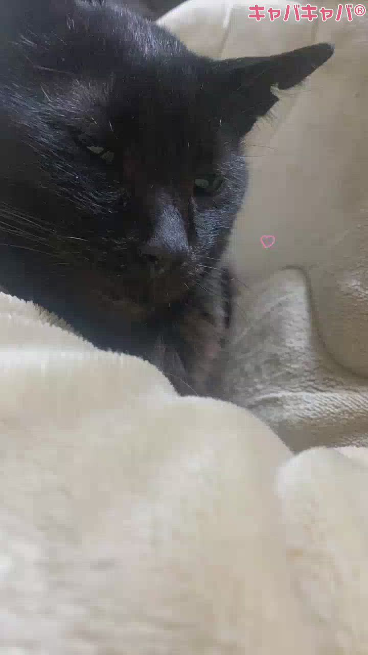 2連休感謝！🙏完全復活だせ！