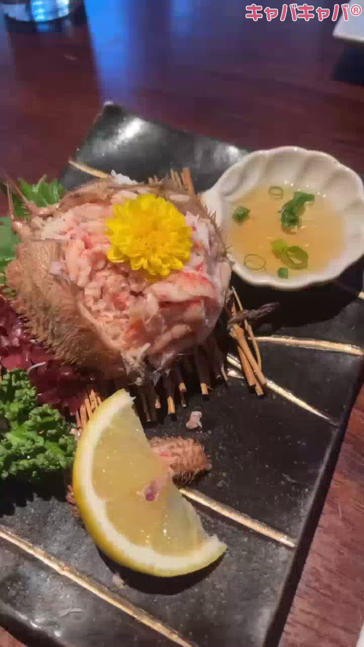 一条 葵