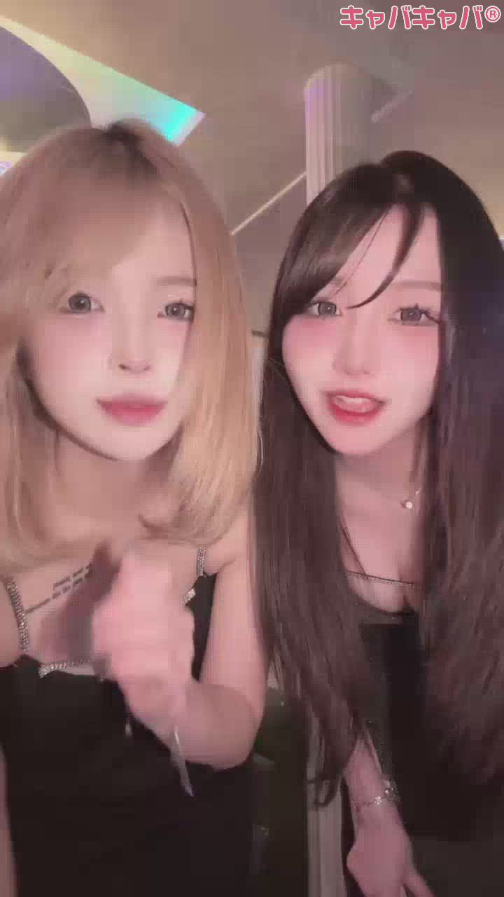 一条 葵