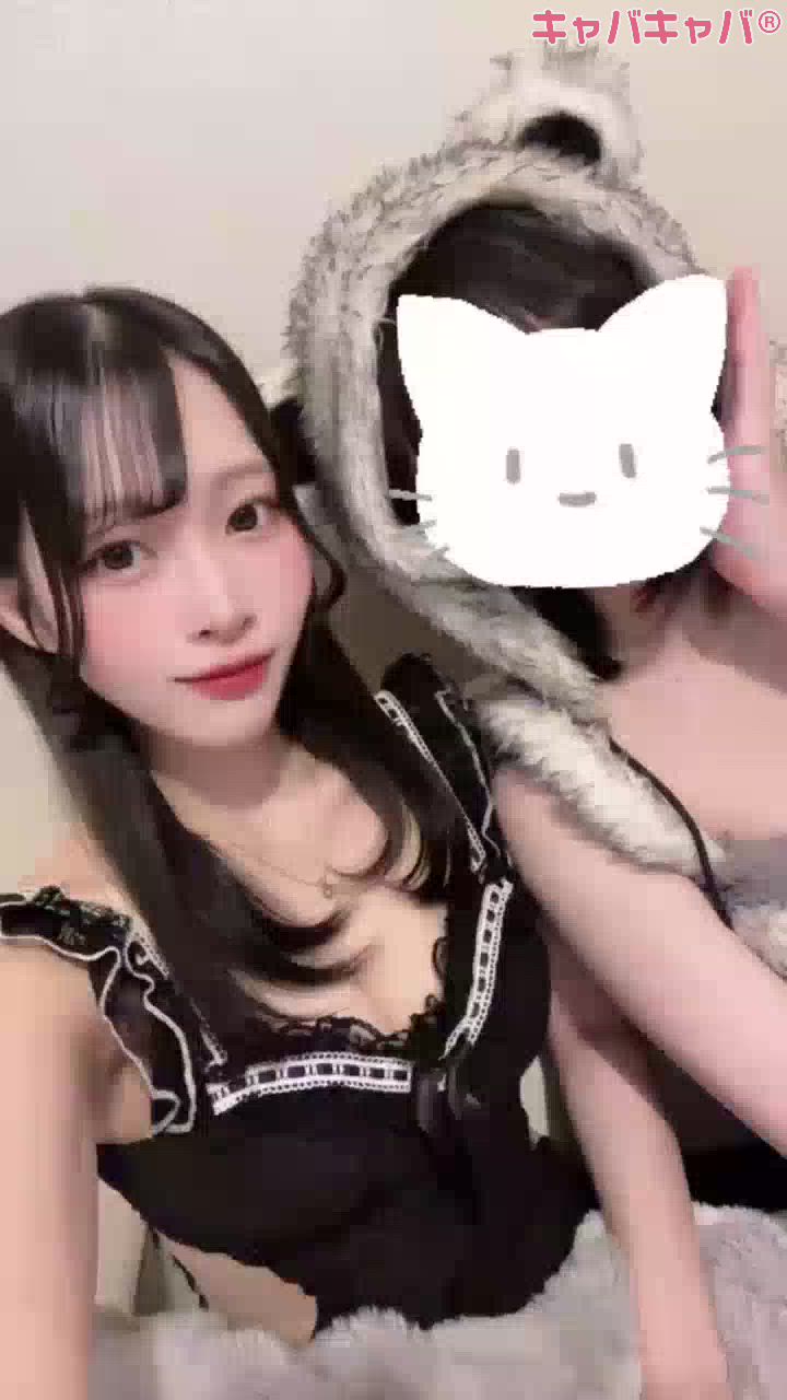 コンセプトカフェ あにまる宮殿日記1515053