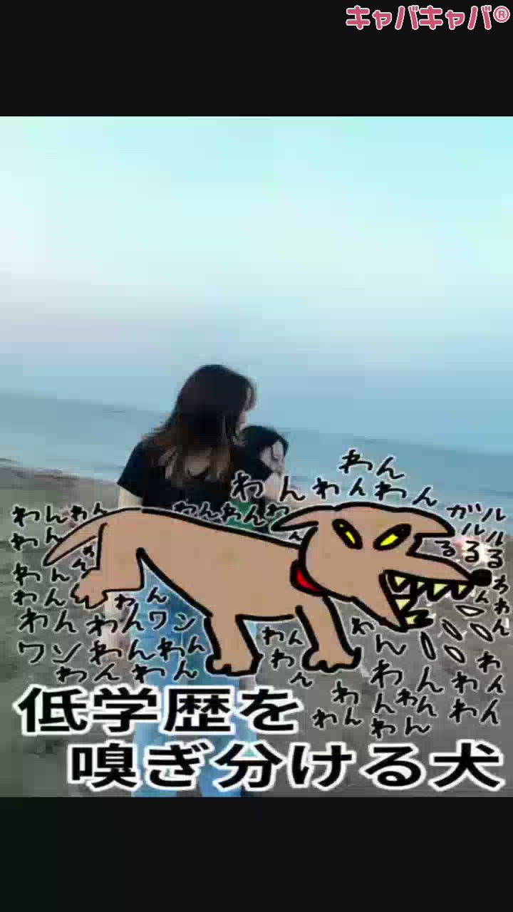 Lounge M Style日記914304